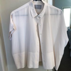 Everlane Silk Collared Button Down